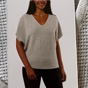 Cyrus Light Gray V-Neck Top Medium NWT
